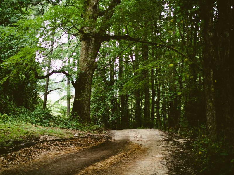 sudoku training mode screenshot 1